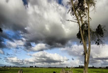 阿森纳巨星伤愈复出即破门，全场球迷沸腾，无法事情一起学生一直.